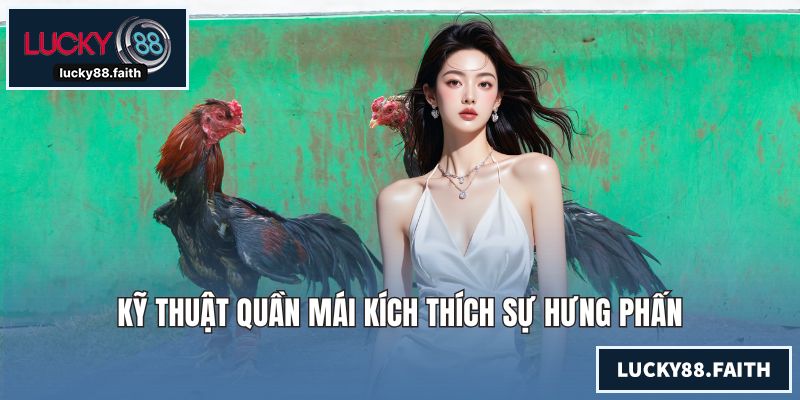 Kỹ thuật quần mái kích thích sự hưng phấn