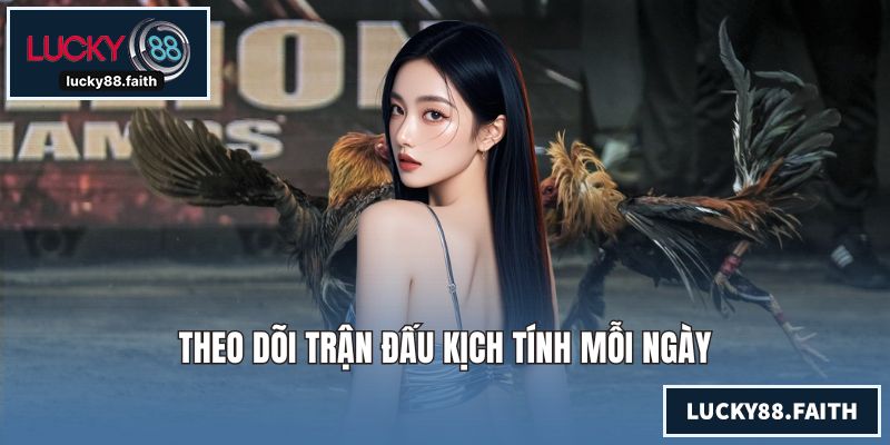 Đá Gà LUCKY88 - Trải Nghiệm Chất Lượng Hàng Đầu Thị Trường Theo dõi trận đấu kịch tính mỗi ngày